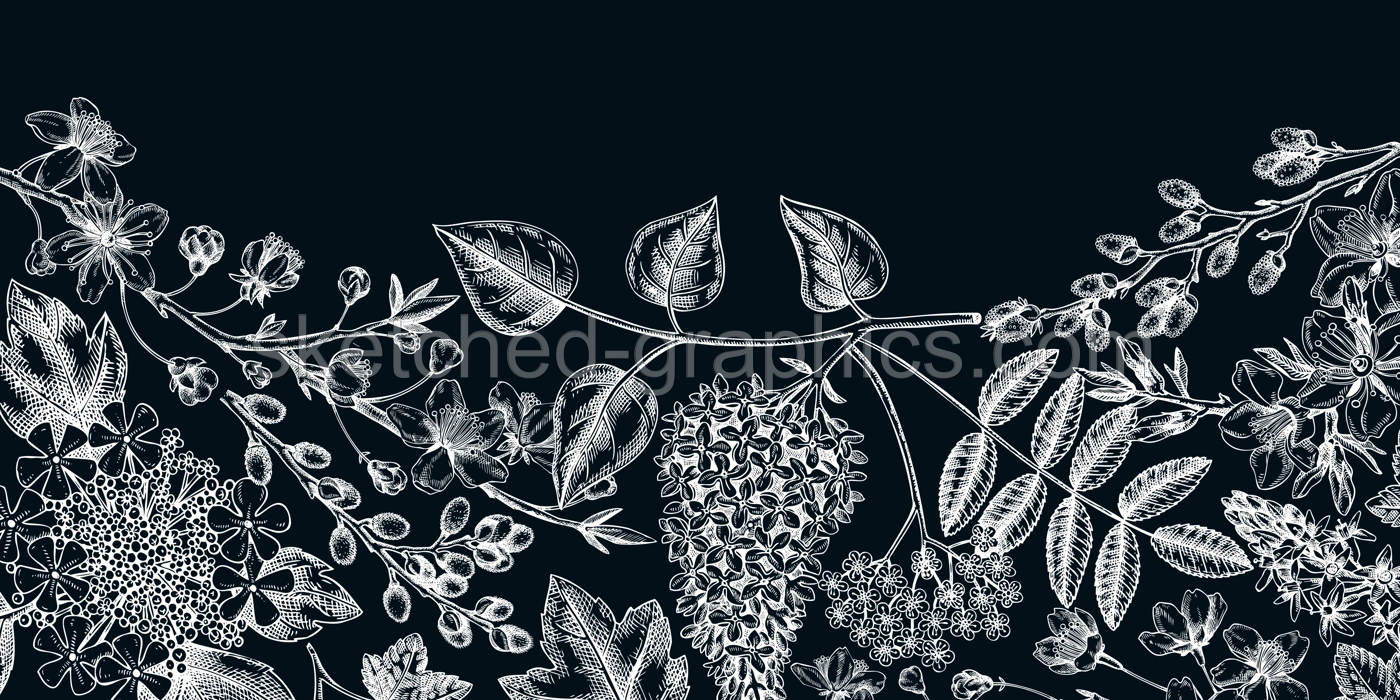 Flowering branches vintage background. Hand drawn almond, willow, rowan, currant, lilac, cherry blossom sketches. Botanical vector banner design of spring trees in flowers on chalkboard. Vintage card  Illustration